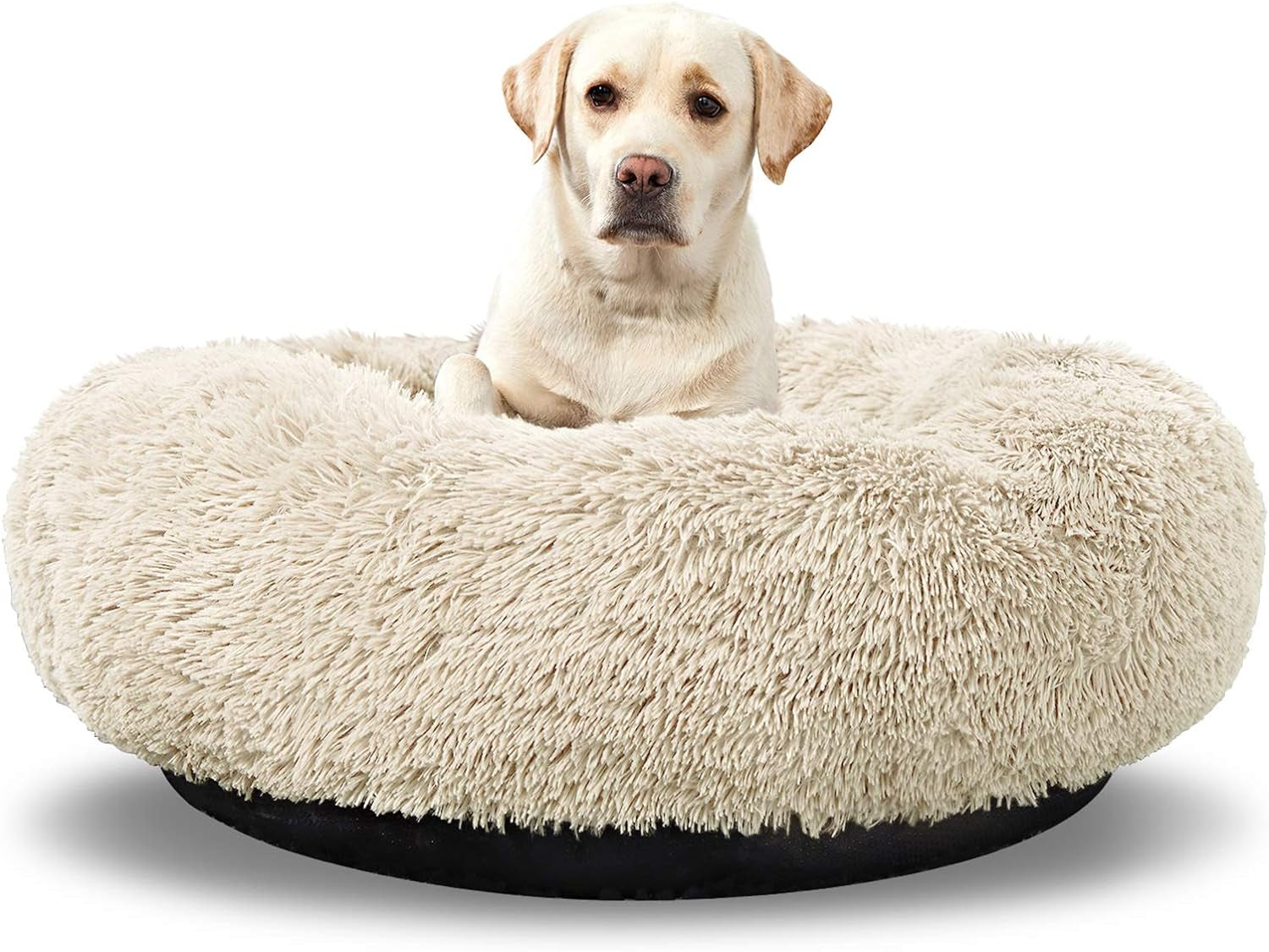 CloudNest™ Calming Dog Bed – The Cozy Retreat Dogs Never Want to Leave