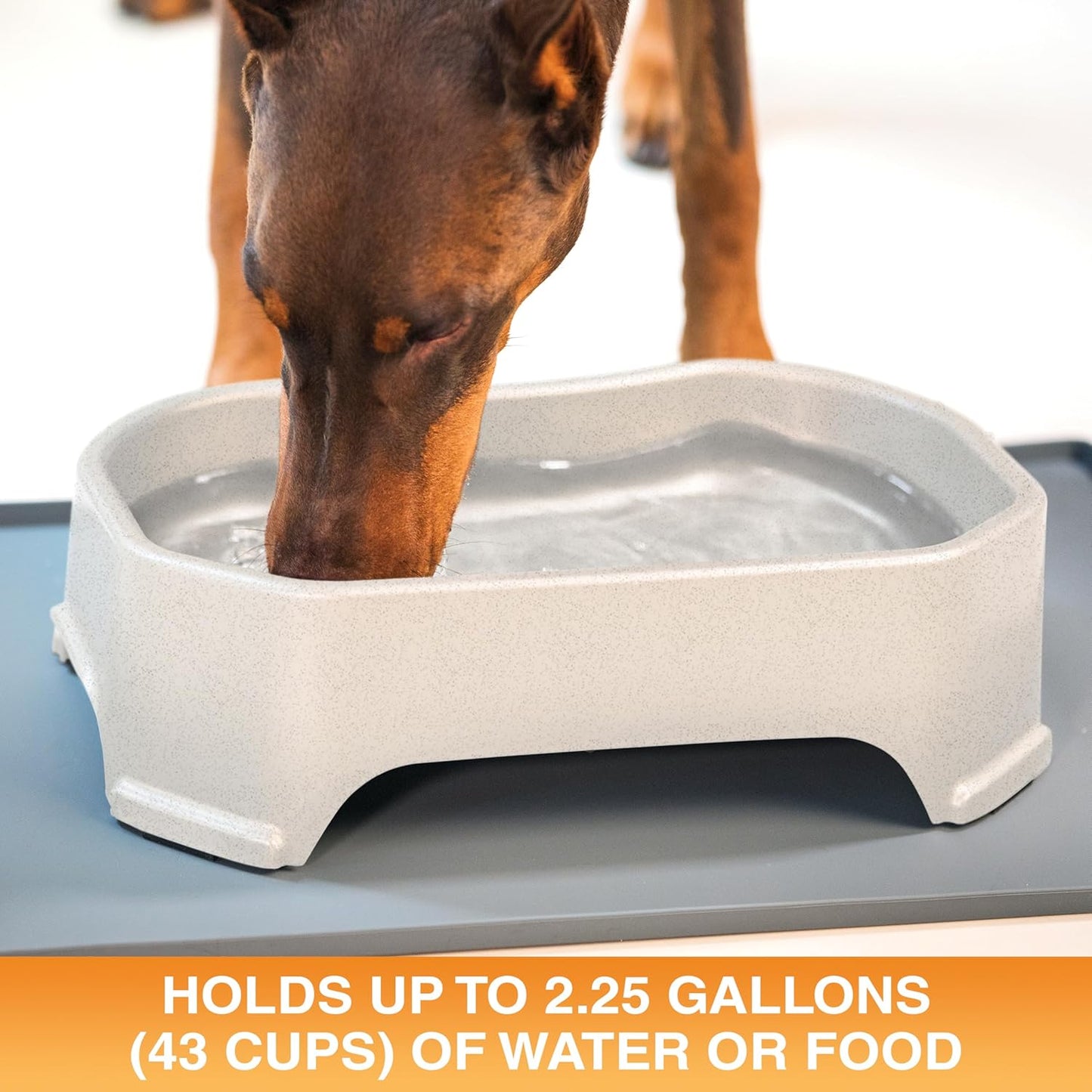 HydraBowl™ XL – The Extra-Large Water Bowl Built for Thirsty Dogs