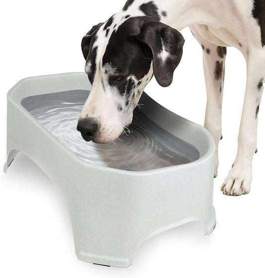 HydraBowl™ XL – The Extra-Large Water Bowl Built for Thirsty Dogs