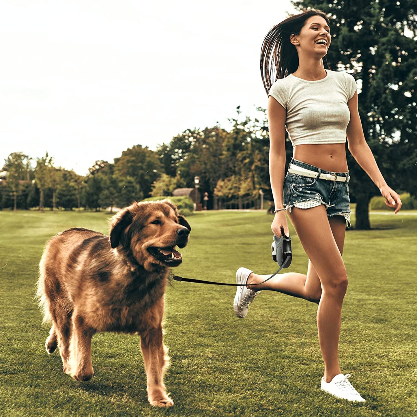 FlexWalk™ – The All-in-One Retractable Leash for Everyday Adventures