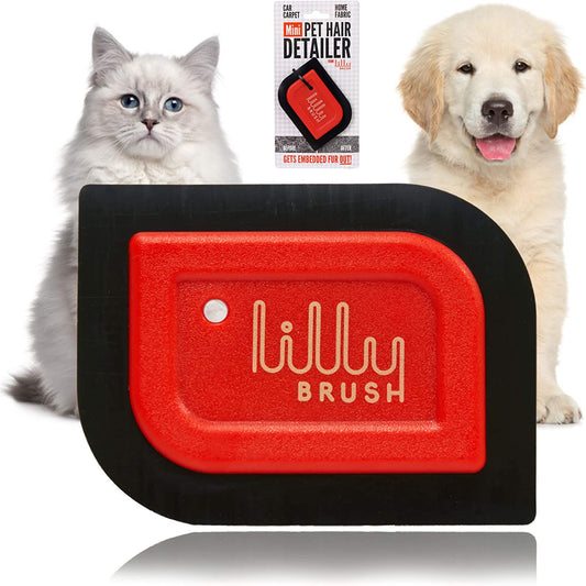 Mini pet hair detailer, reusable fur remover for car and home