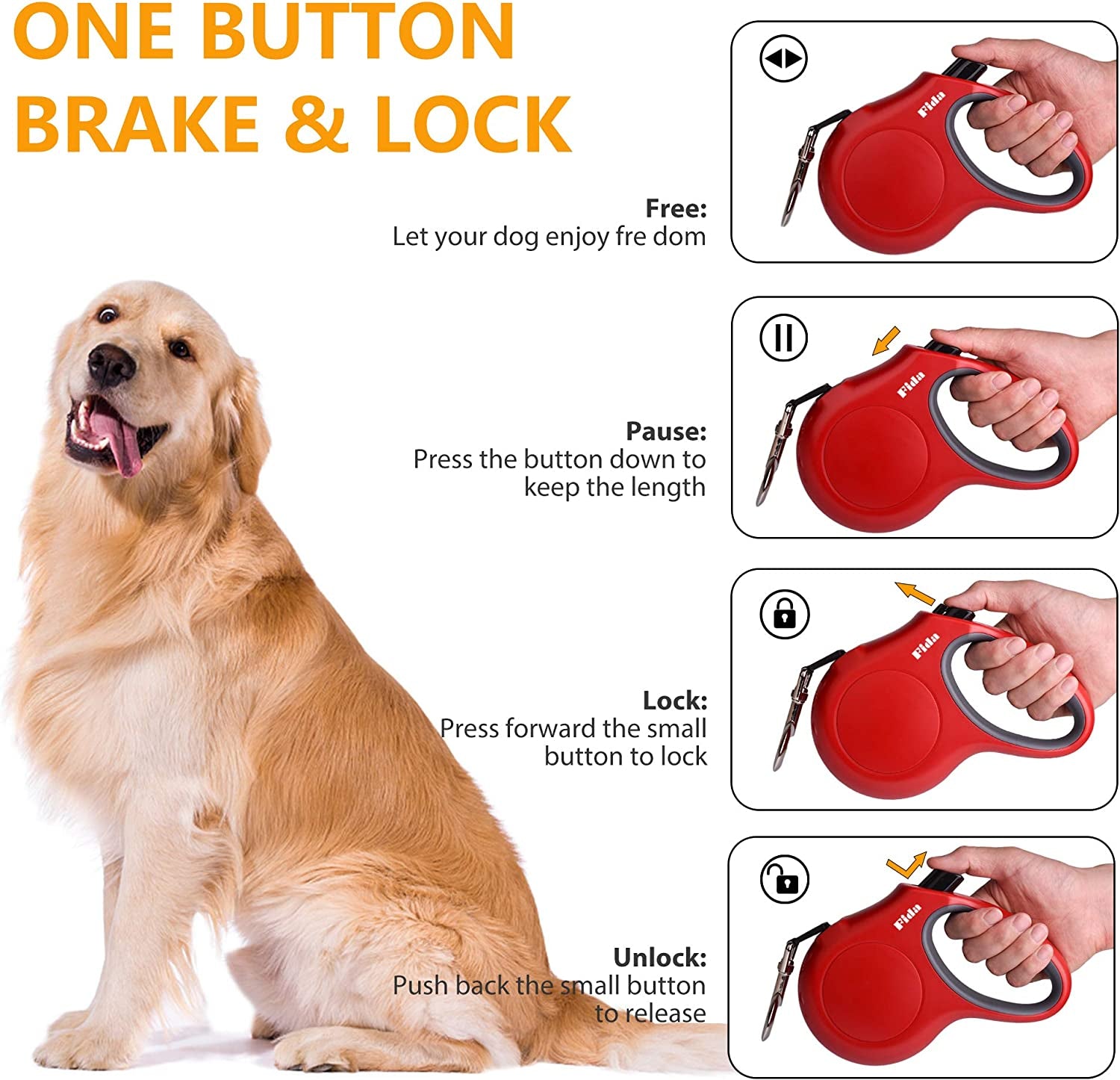 FlexWalk™ – The All-in-One Retractable Leash for Everyday Adventures