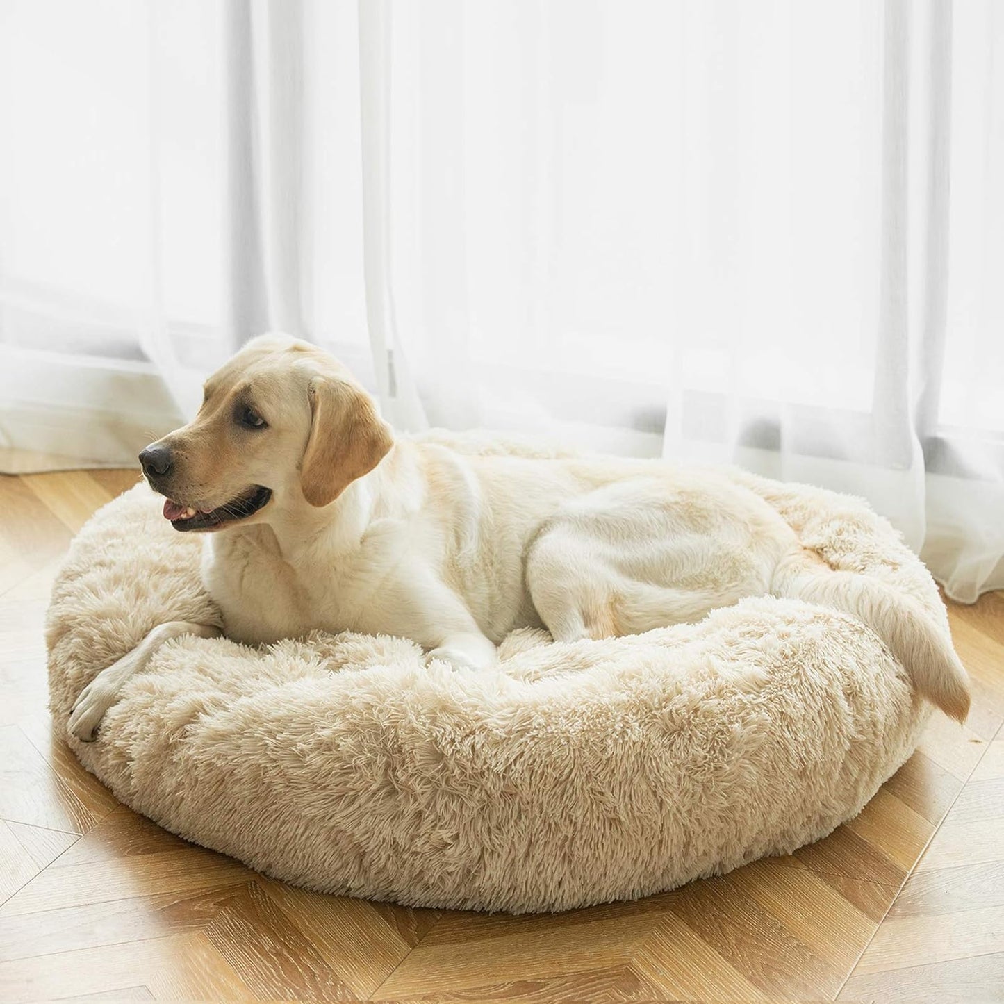 CloudNest™ Calming Dog Bed – The Cozy Retreat Dogs Never Want to Leave