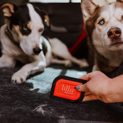 Mini Pet Hair Detailer | Reusable Fur Remover for Car Interior, Carpet, Couch & Furniture