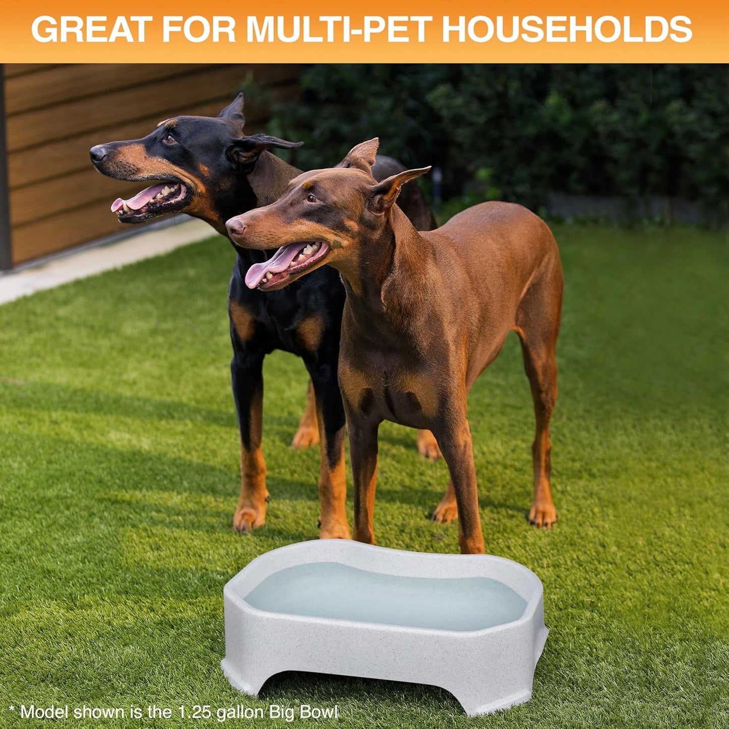 HydraBowl™ XL – The Extra-Large Water Bowl Built for Thirsty Dogs