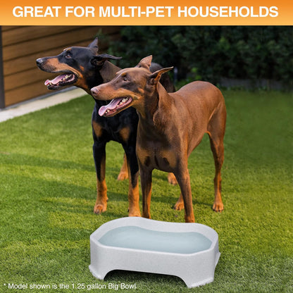 HydraBowl™ XL – The Extra-Large Water Bowl Built for Thirsty Dogs