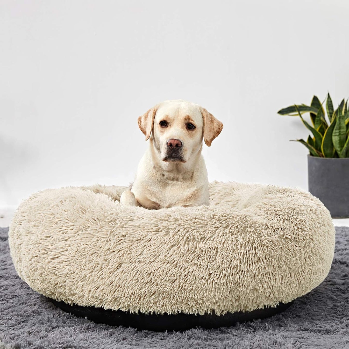 CloudNest™ Calming Dog Bed – The Cozy Retreat Dogs Never Want to Leave