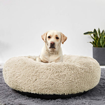 CloudNest™ Calming Dog Bed – The Cozy Retreat Dogs Never Want to Leave