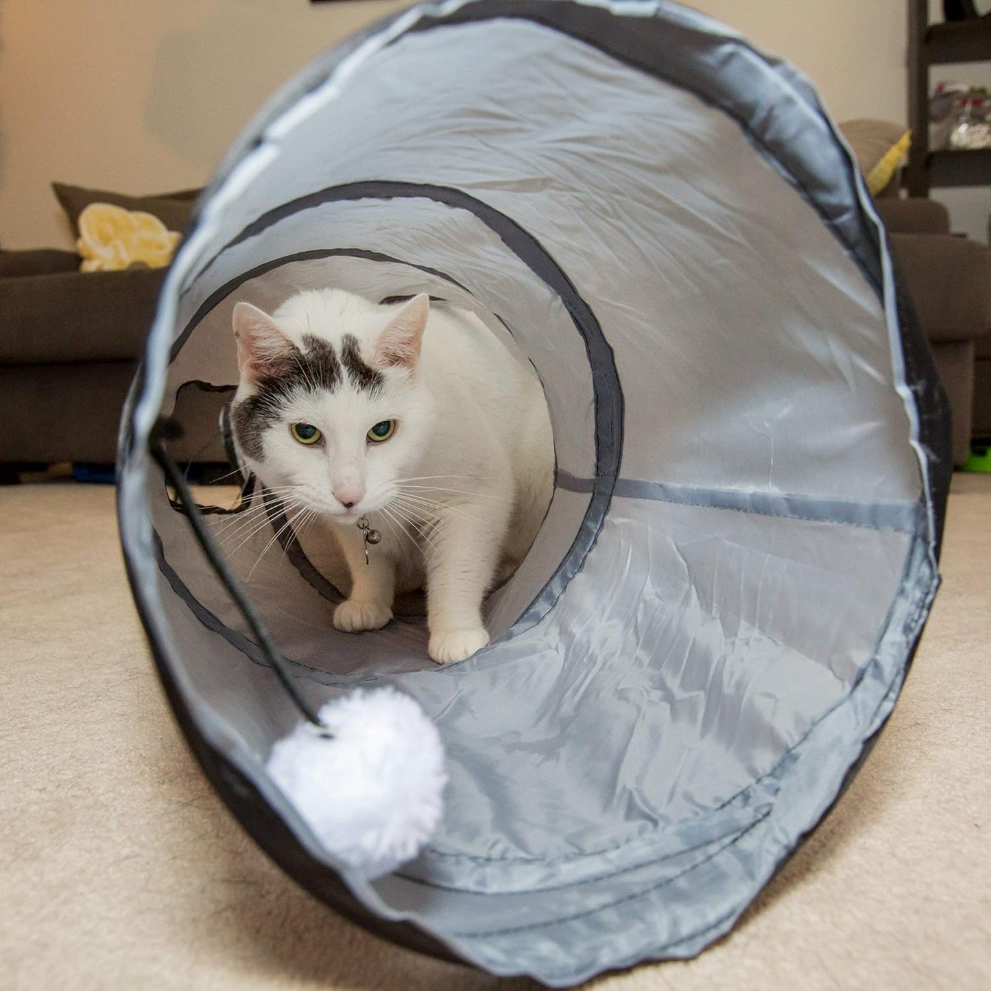 Interactive S-Shaped Cat Tunnel – Collapsible Pop-Up Hideaway Toy with Hanging Ball for Indoor Cats