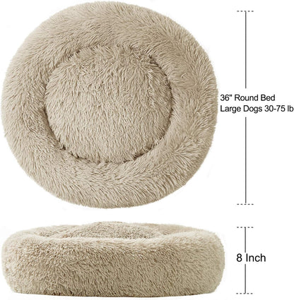 CloudNest™ Calming Dog Bed – The Cozy Retreat Dogs Never Want to Leave