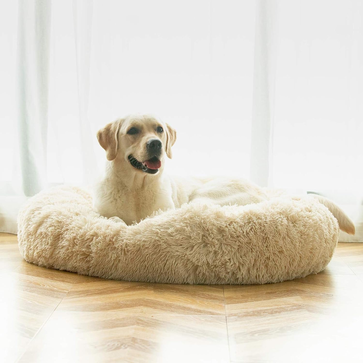 CloudNest™ Calming Dog Bed – The Cozy Retreat Dogs Never Want to Leave