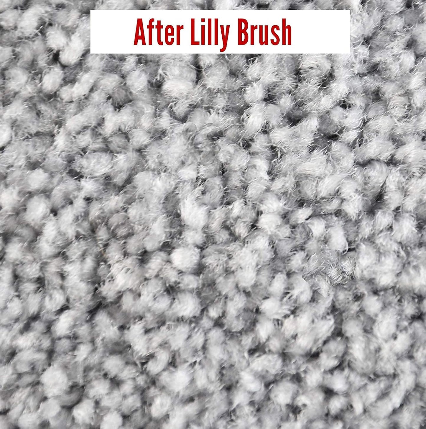 Pet Hair Clean-Up Mighty Blade