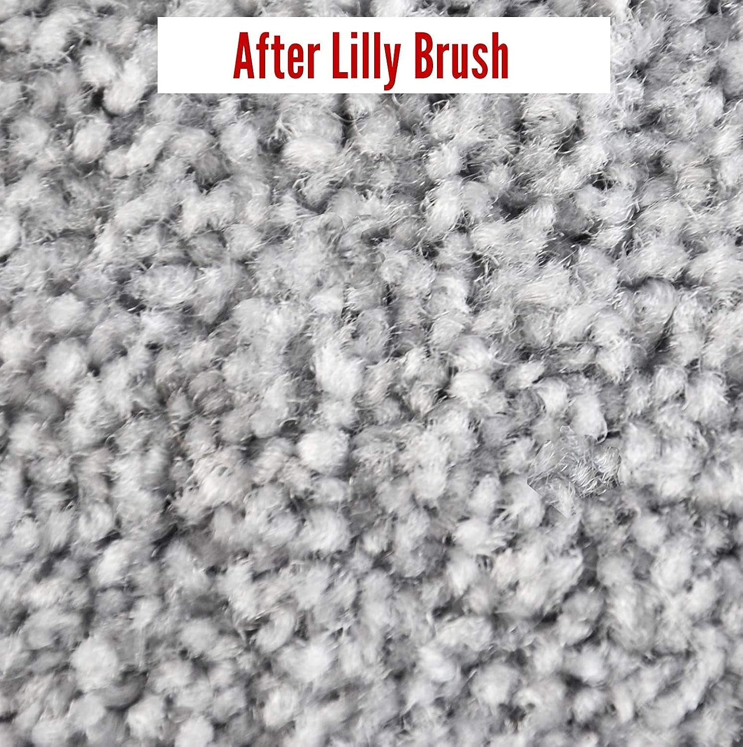 Pet Hair Clean-Up Mighty Blade