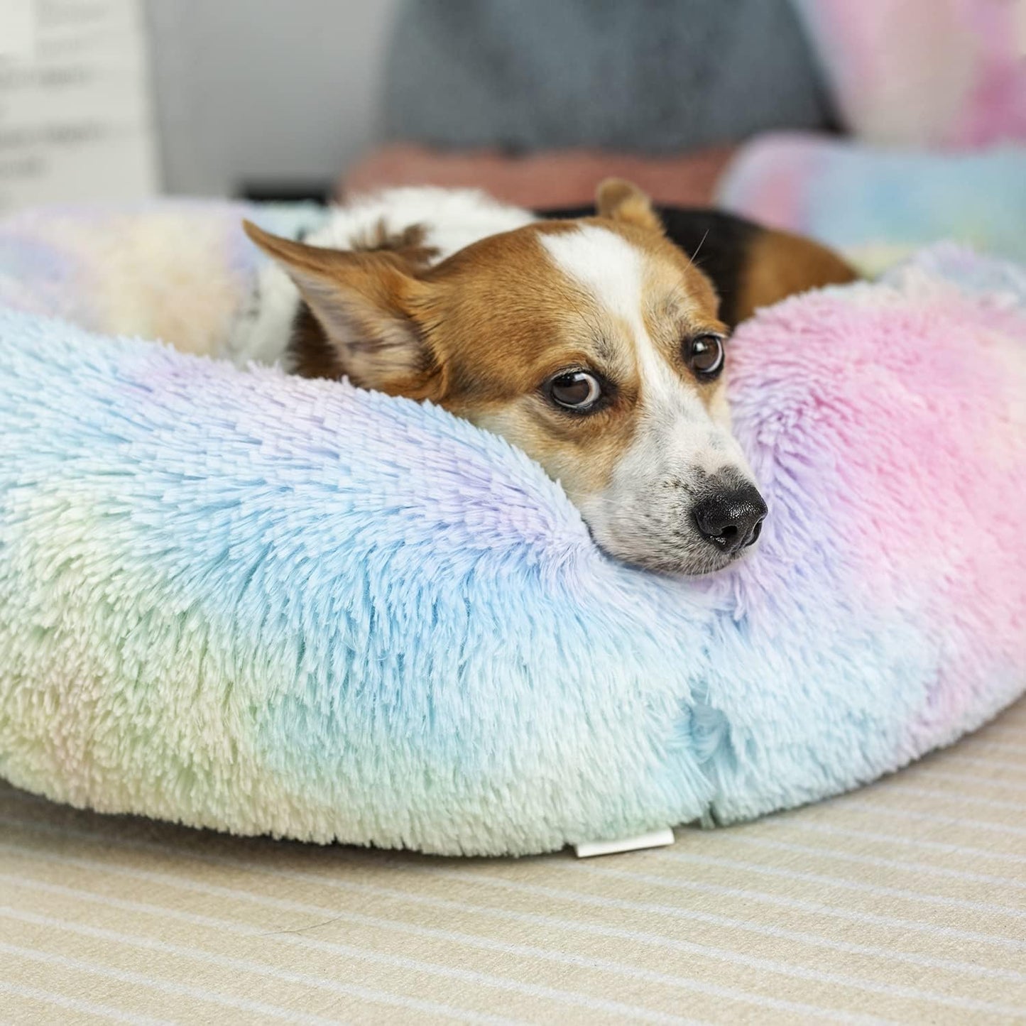 Rainbow CloudNest™ Calming Pet Bed – The Cozy Retreat Pets Never Want to Leave