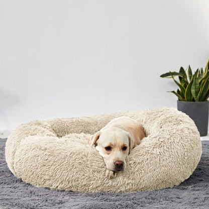CloudNest™ Calming Dog Bed – The Cozy Retreat Dogs Never Want to Leave